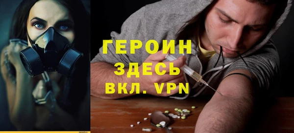 индика Арсеньев