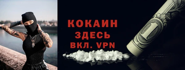индика Арсеньев