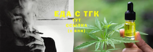 индика Арсеньев