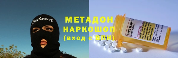 индика Арсеньев