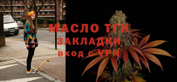 индика Арсеньев