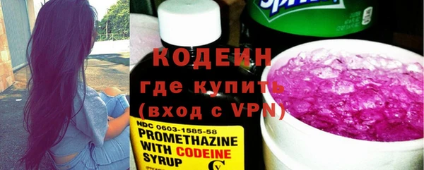 индика Арсеньев