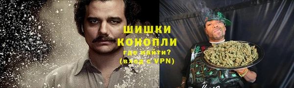 индика Арсеньев