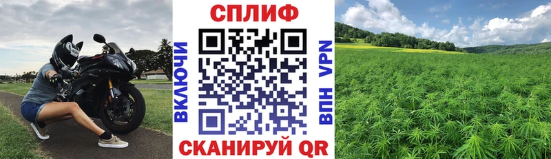 Бошки марихуана OG Kush  kraken рабочий сайт  Исилькуль 